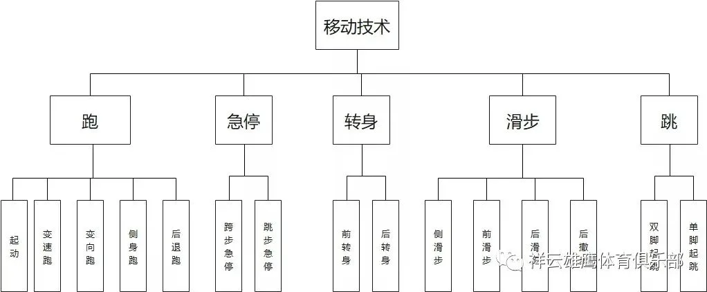 如何制定篮球训练计划以促进球员发展_2
